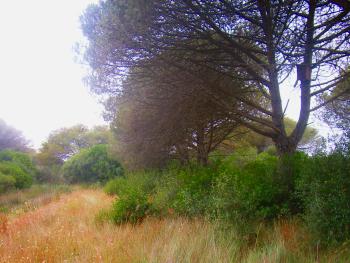 Nestbox no.5. Picture by D. Centili