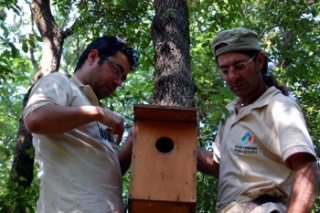 Fabio Giannetti e Antonio Calzolari controllano un nido artificiale. Parco di Gianola e Monte di Scauri, Ente Parco Regionale Riviera di Ulisse (Lazio), 25 giugno 2010. Foto: N. Marrone