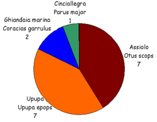 Breeding attempts (N = 17) in 16 nest boxes at WWF-Italy's "Laguna di Orbetello" Nature Reserve - breeding season 2007