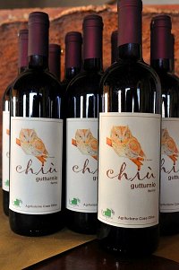Vino rosso Chiu'(Gutturnio DOC) prodotto dall'agriturismo Caseolive di Borgonovo Val Tidone (PC)