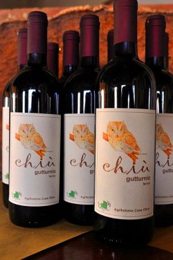 Vino rosso Chiu' (Gutturnio DOC) prodotto dall'agriturismo Case Olive di Borgonovo Val Tidone (PC)